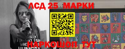 соль ск Сланцы