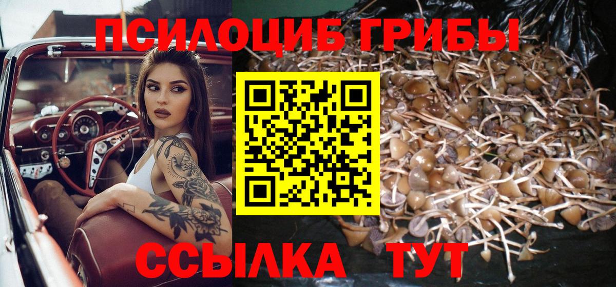Галлюциногенные грибы MAGIC MUSHROOMS Нарткала