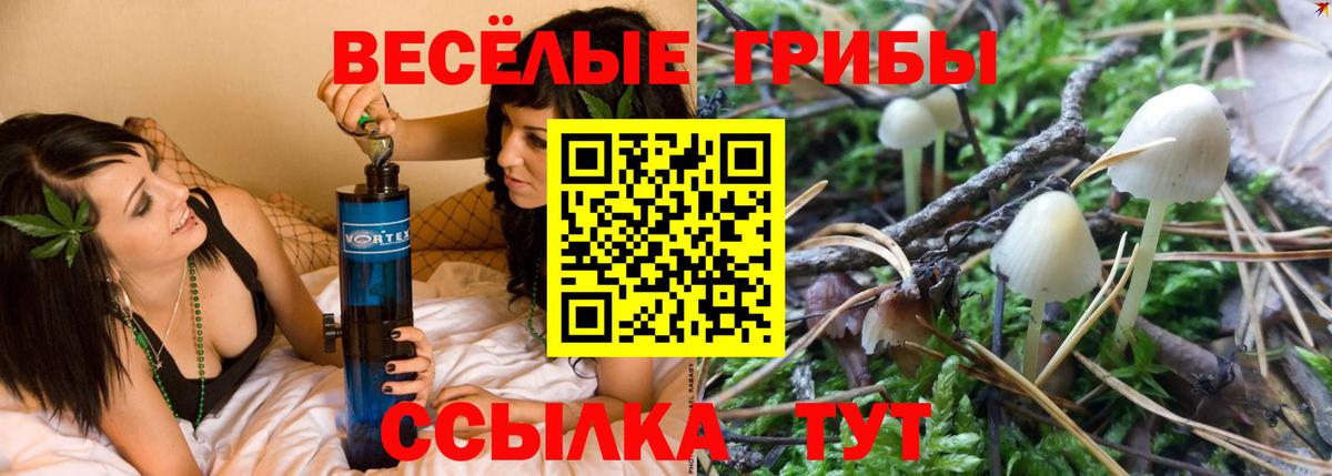 Нарткала  Галлюциногенные грибы прущие грибы  Вход с VPN  Галлюциногенные грибы Magic Shrooms 